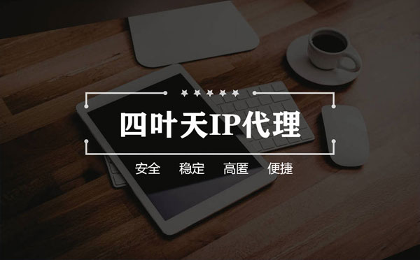 【武安代理IP】如何快速搭建代理IP？怎么检查代理的效果？